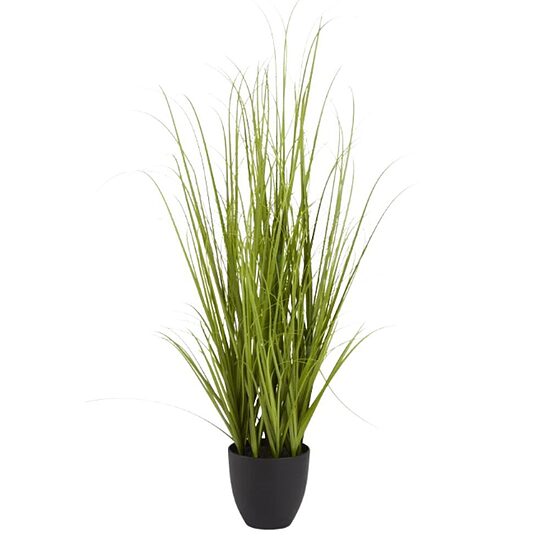 Zāle podā 150cm
